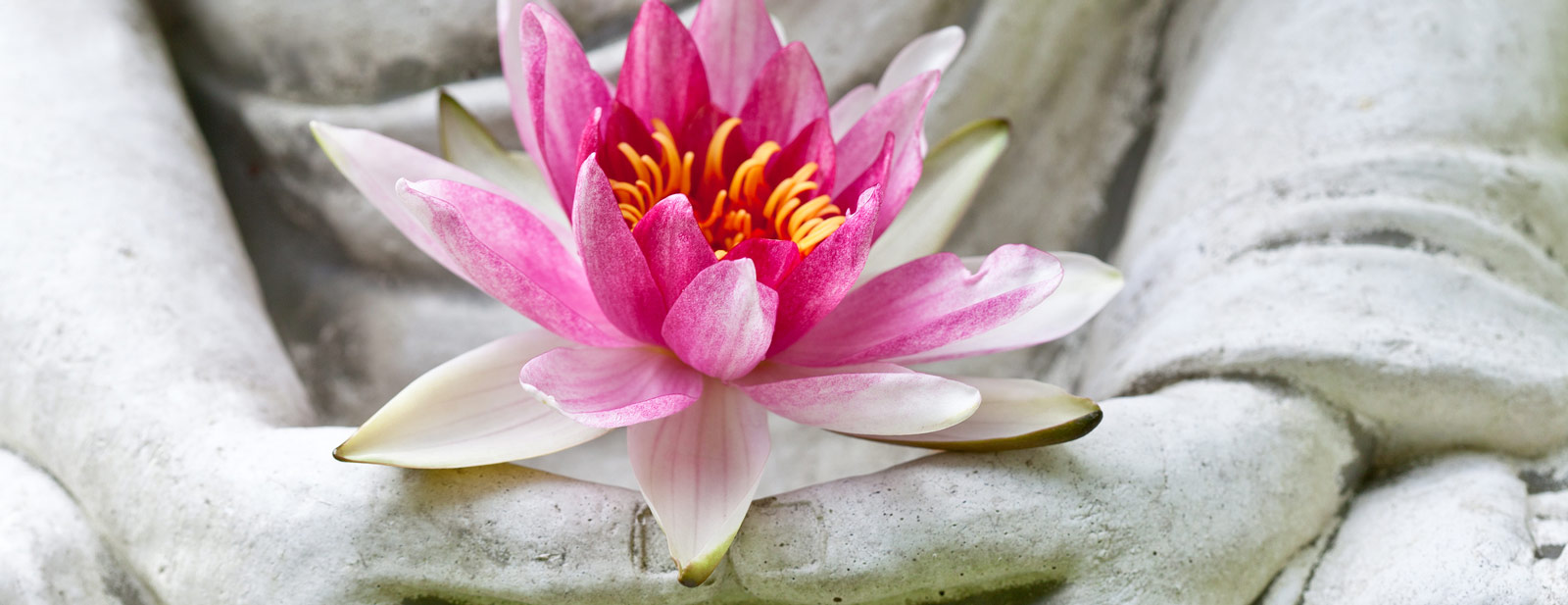 Buddha lotus flower yoga